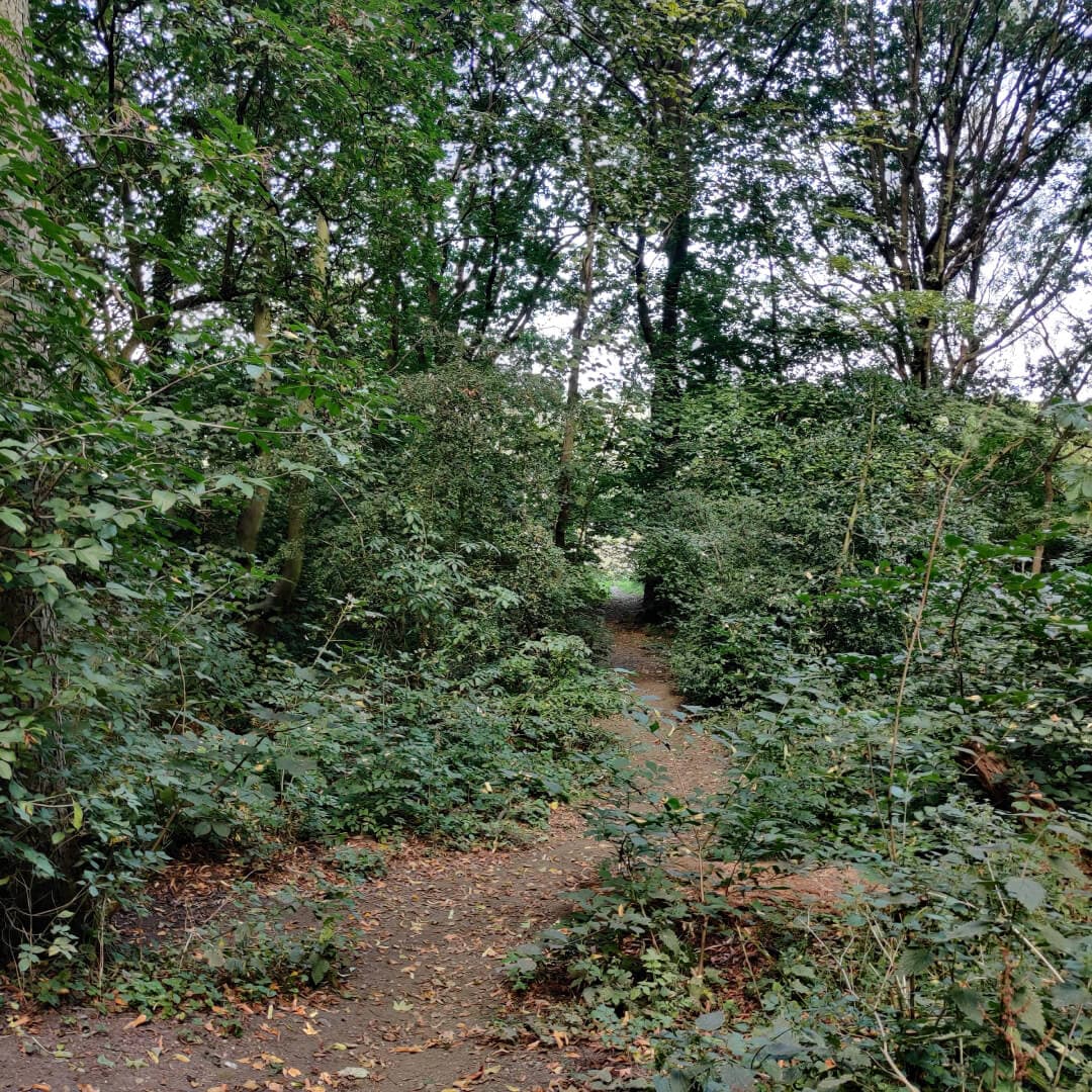 Middleton Park