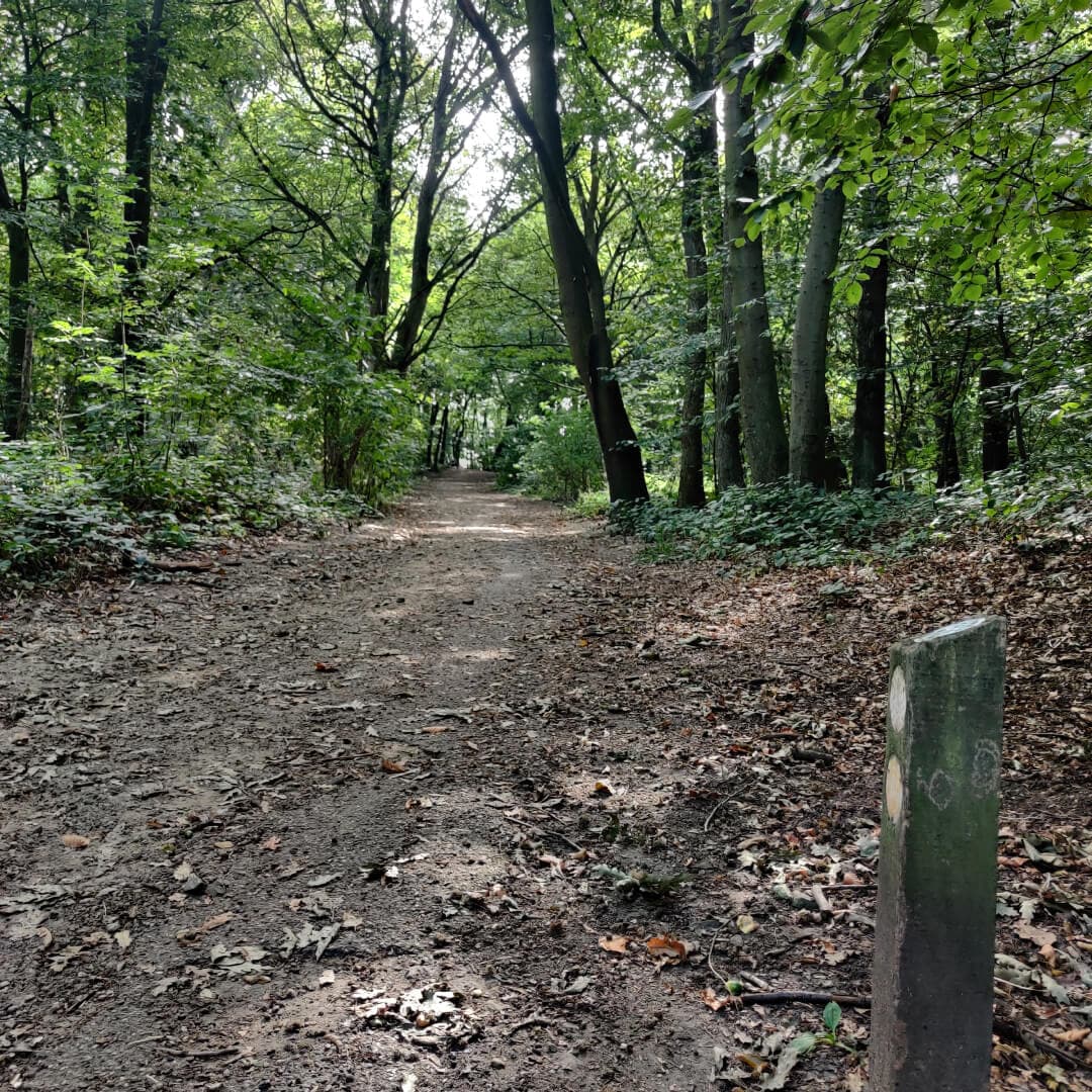 Middleton Park