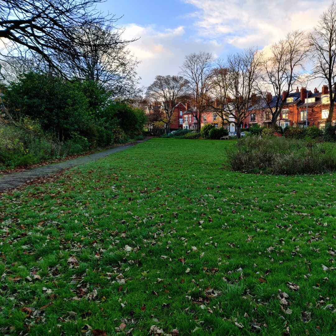 Charlie Cake Park