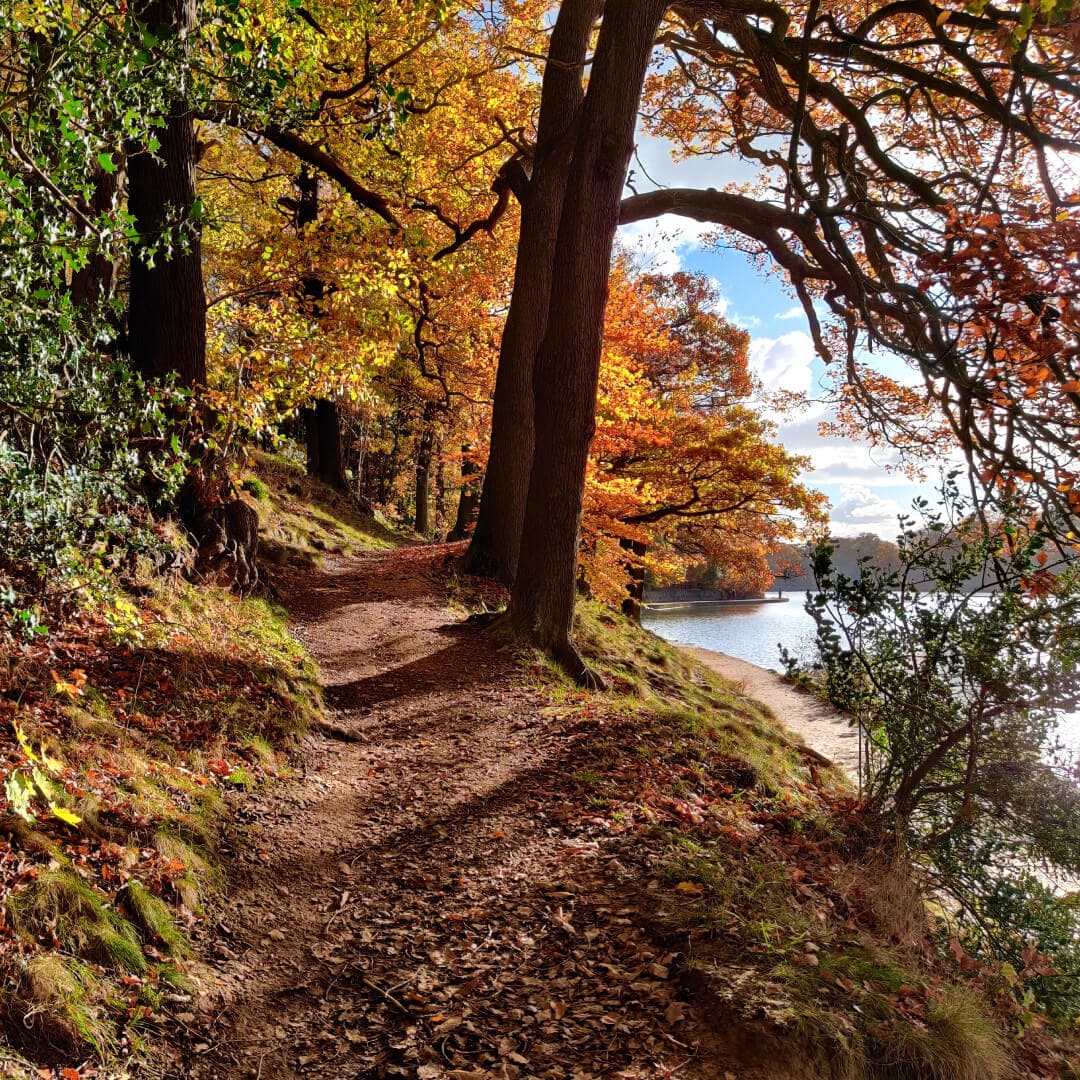 Path around Roundhay Park Lake in Autumn