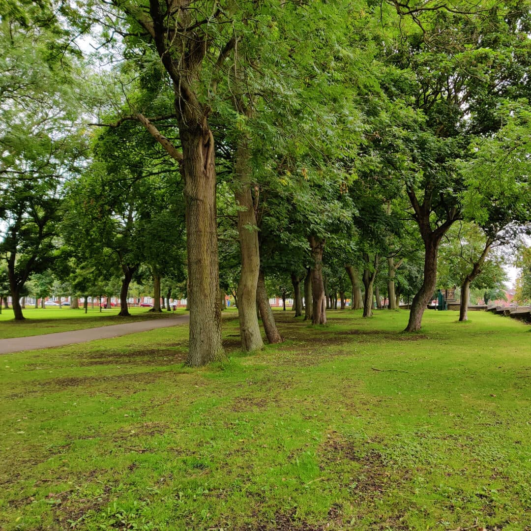 Cross Flatts Park