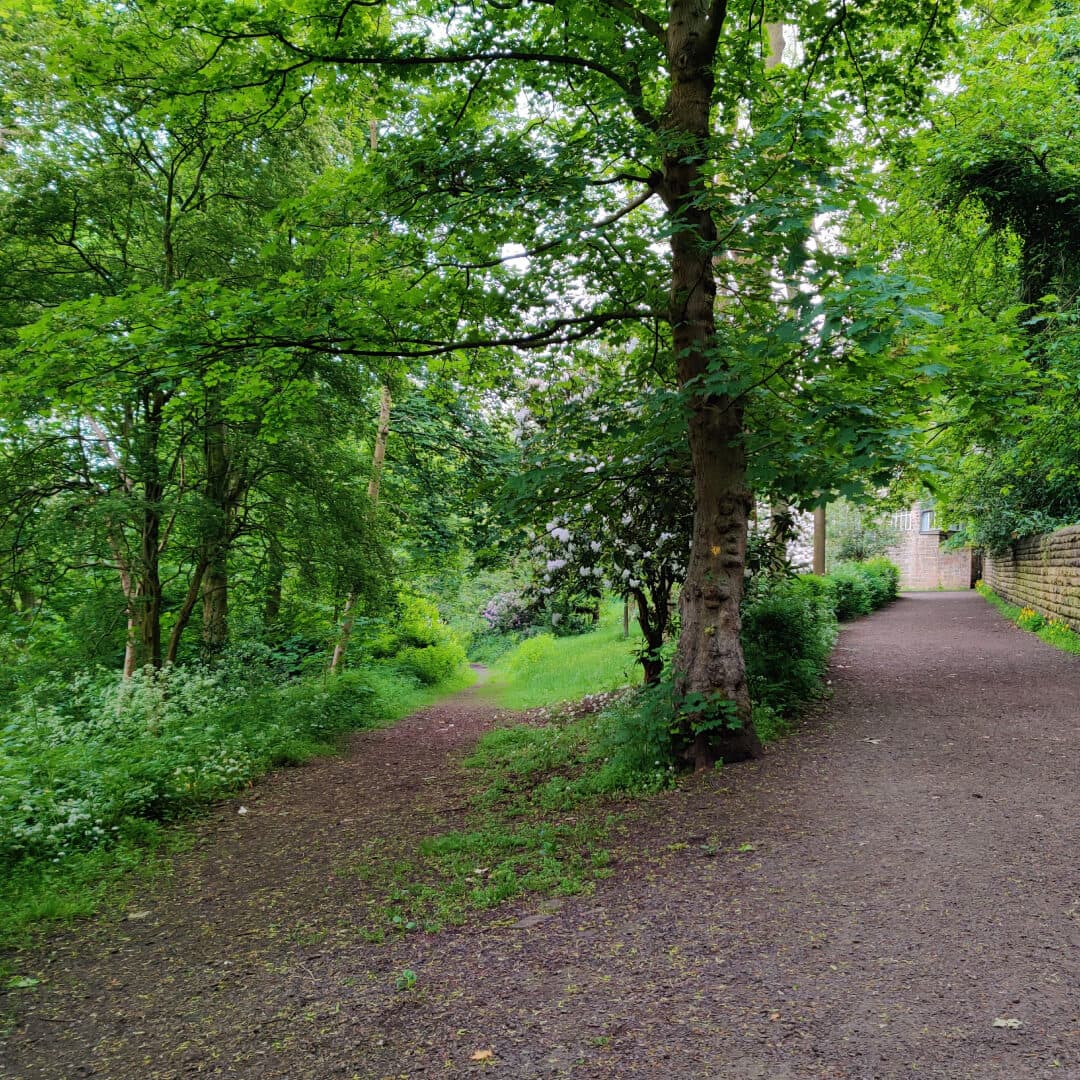 Woodhouse Ridge top path split