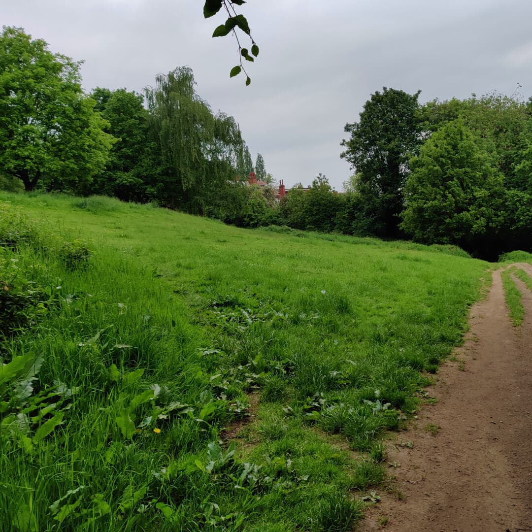 Woodhouse Ridge path and grass