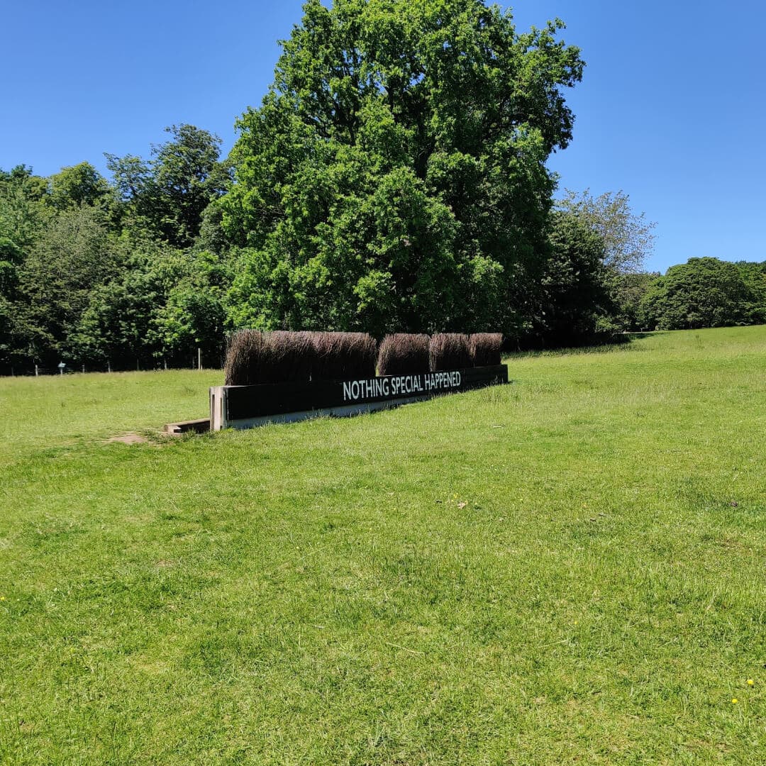 Nothing Special Happened at Yorkshire Sculpture Park
