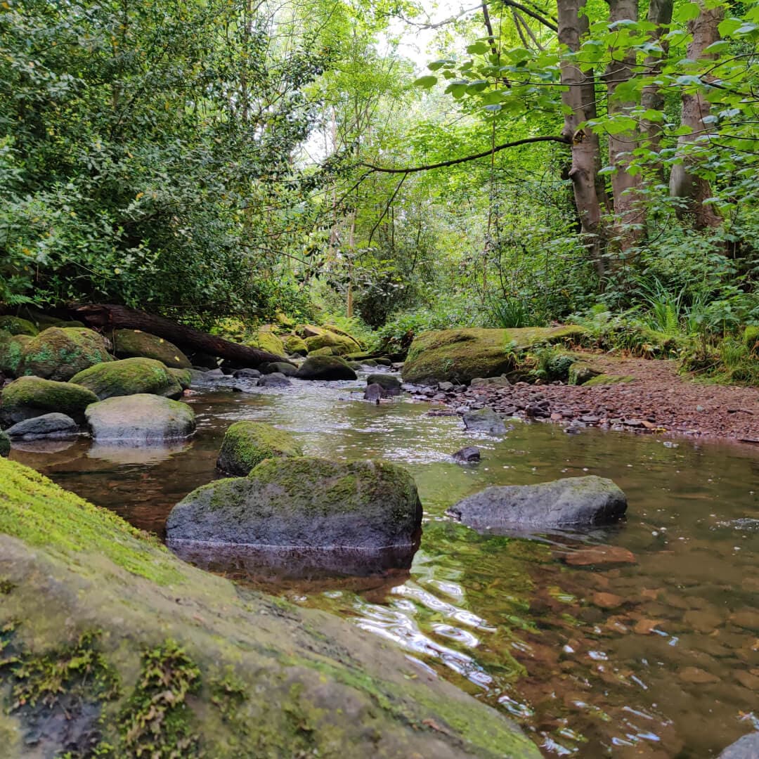 Hawksworth Wood Oil Beck