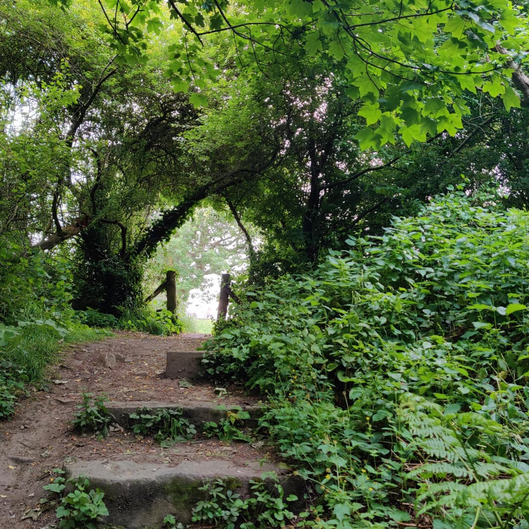 Hawksworth Wood steps to park