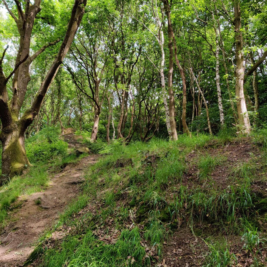 Hawksworth Wood steps