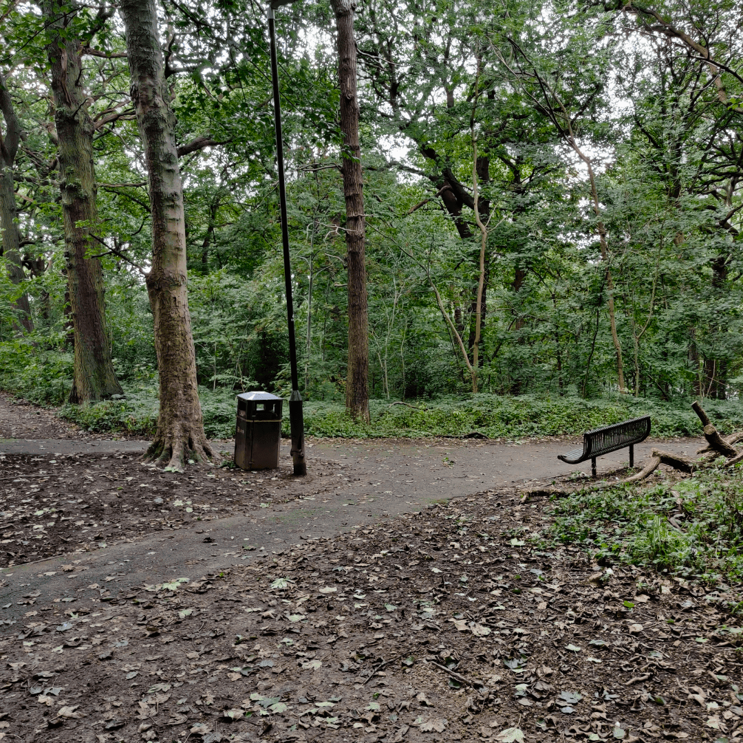 Gipton Wood