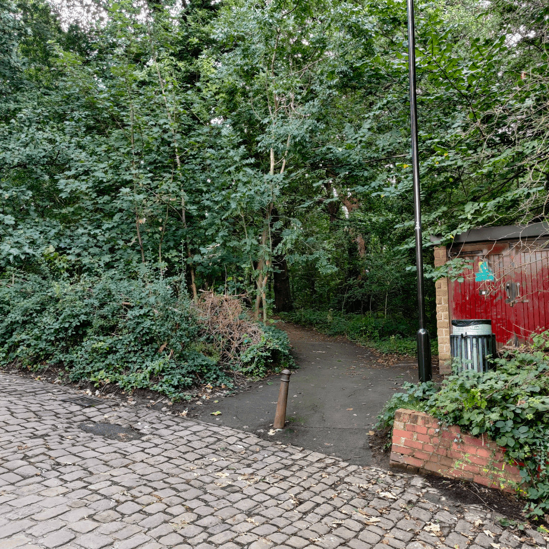 Gipton Wood