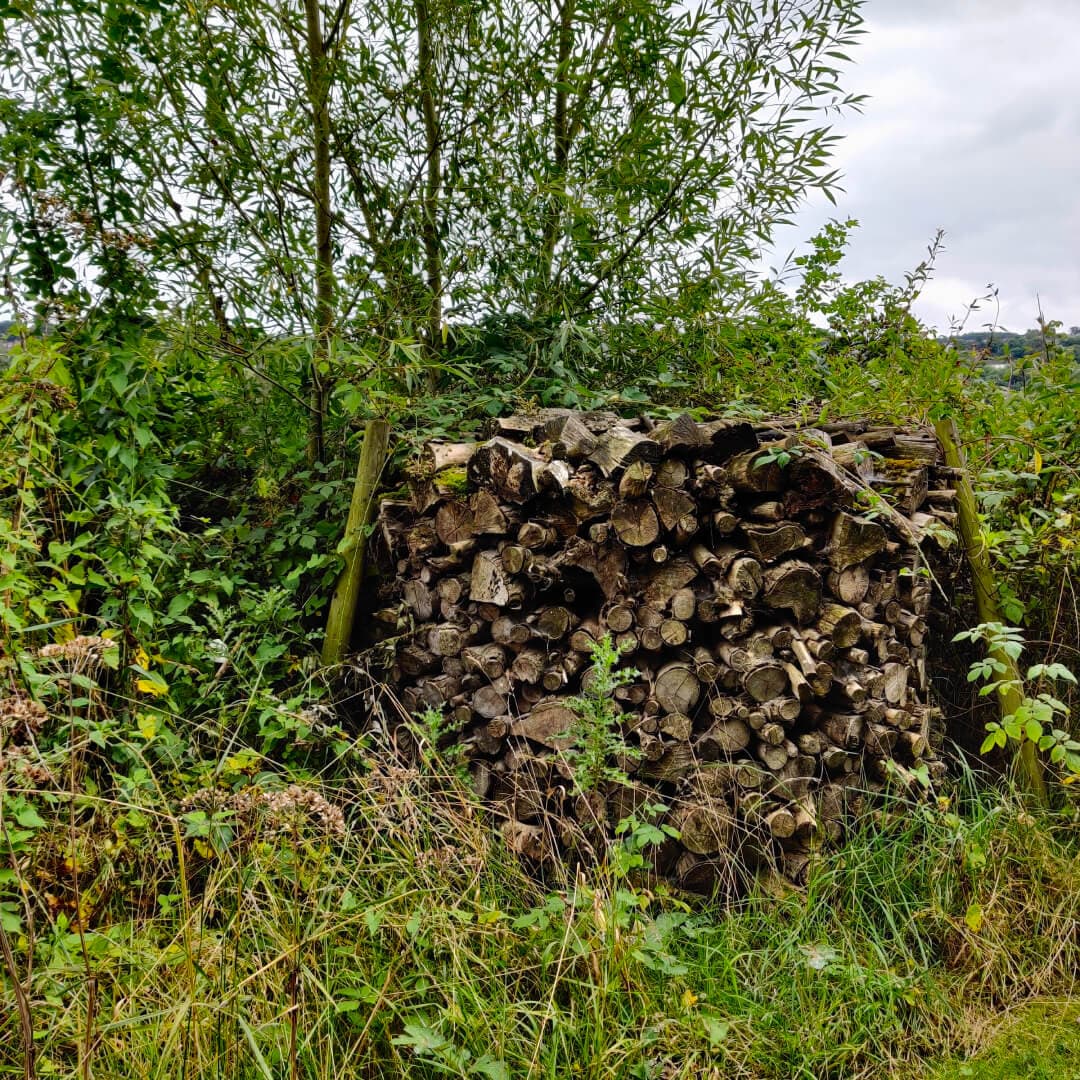 Rodley Nature Reserve bug hotel
