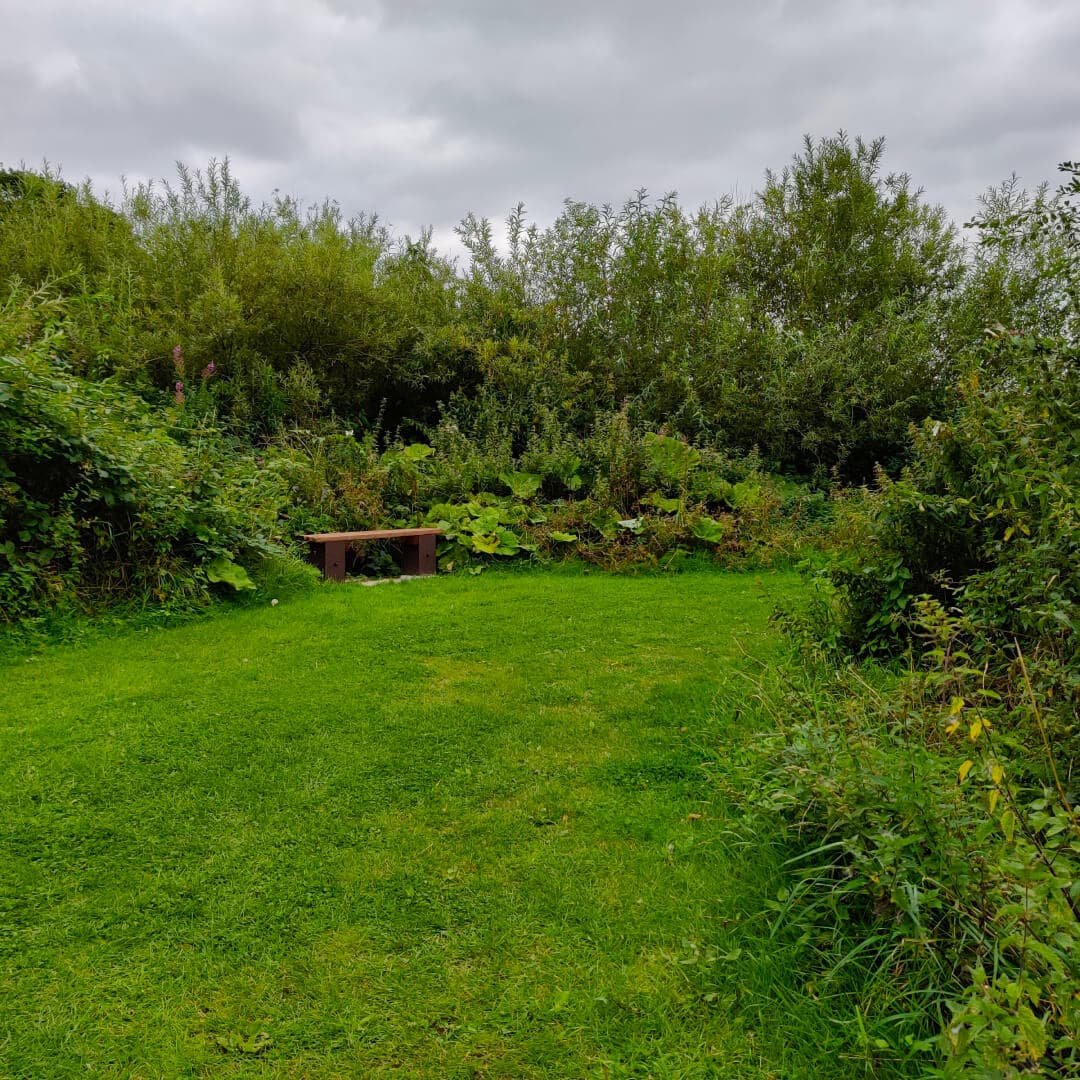Rodley Nature Reserve field