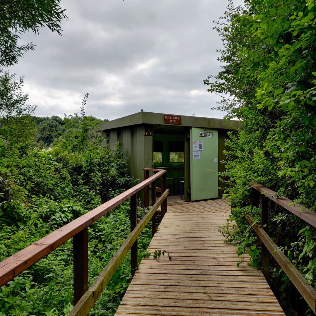 Rodley Nature Reserve path to hide