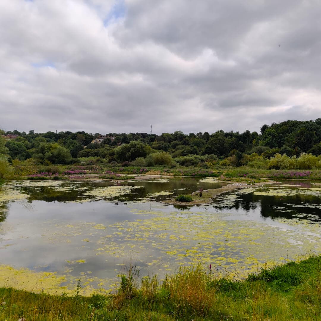 Rodley Nature Reserve