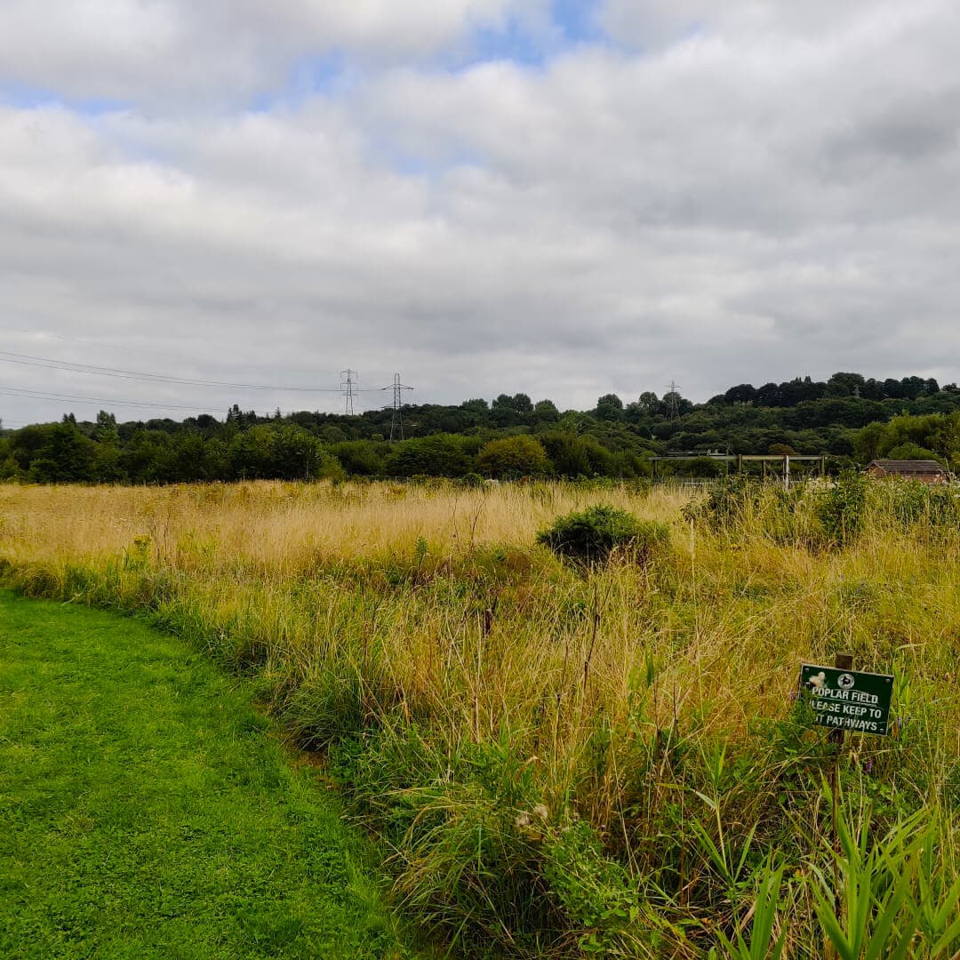 Rodley Nature Reserve