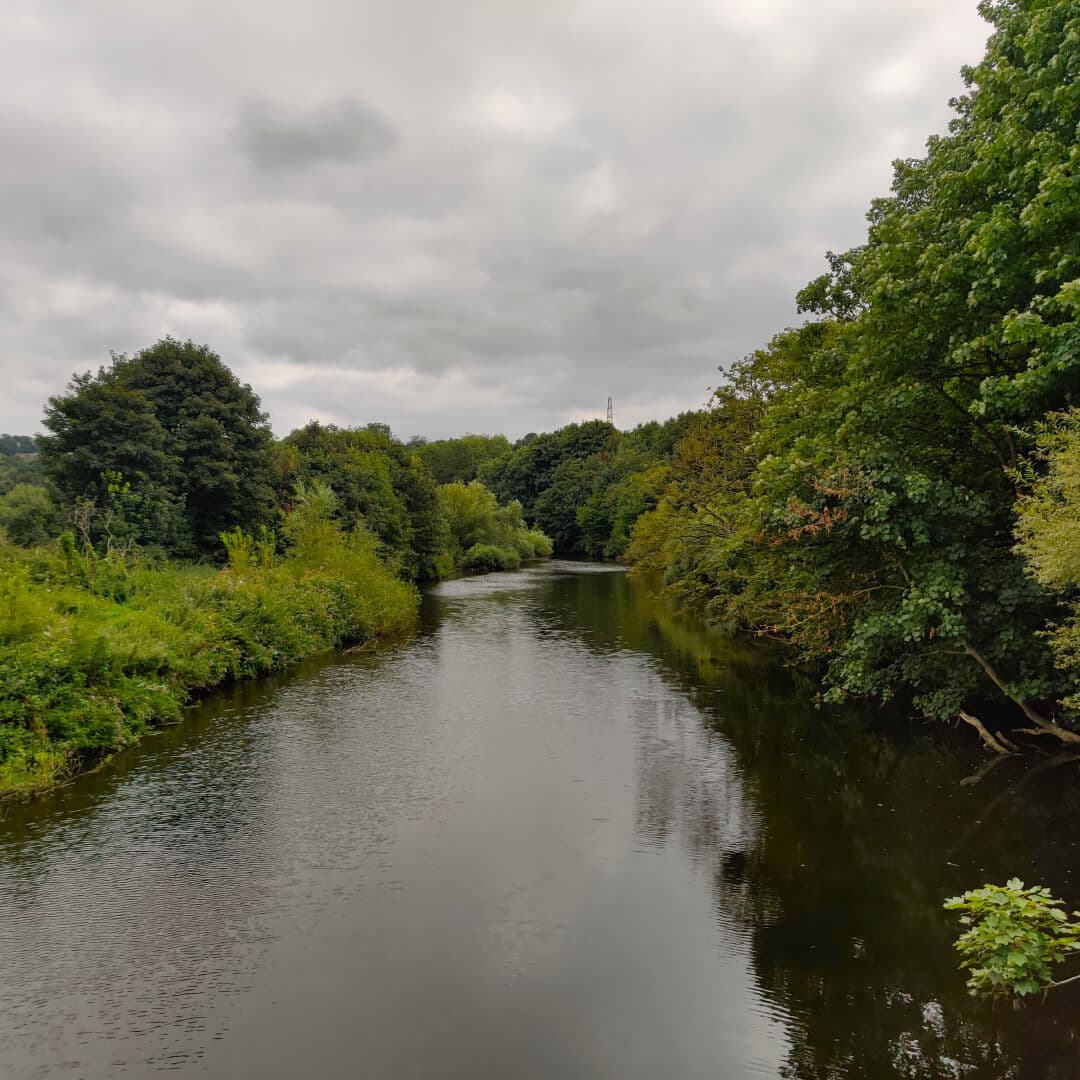 Rodley Nature Reserve entrance road over river