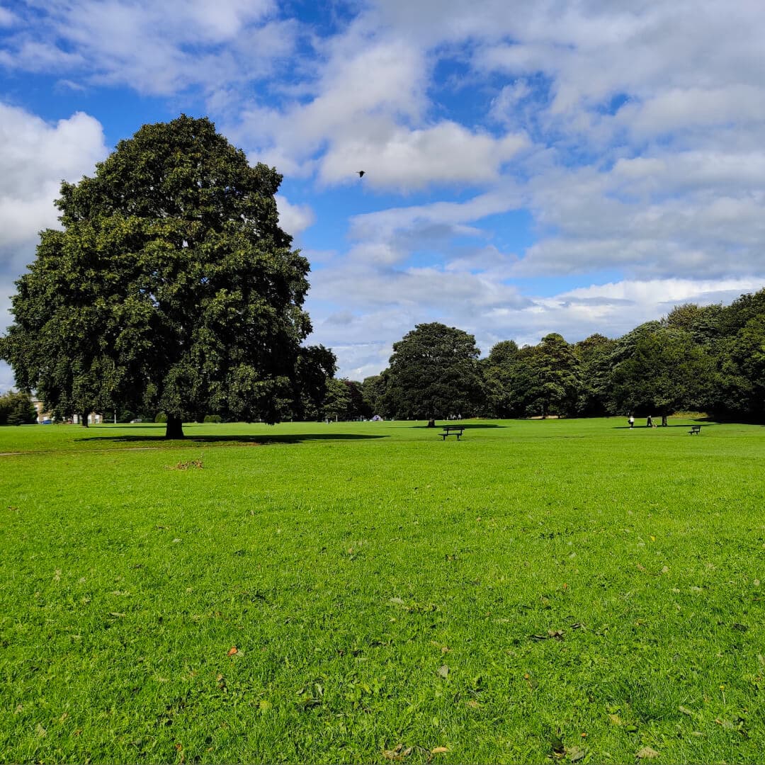 Farnley Hall Park field