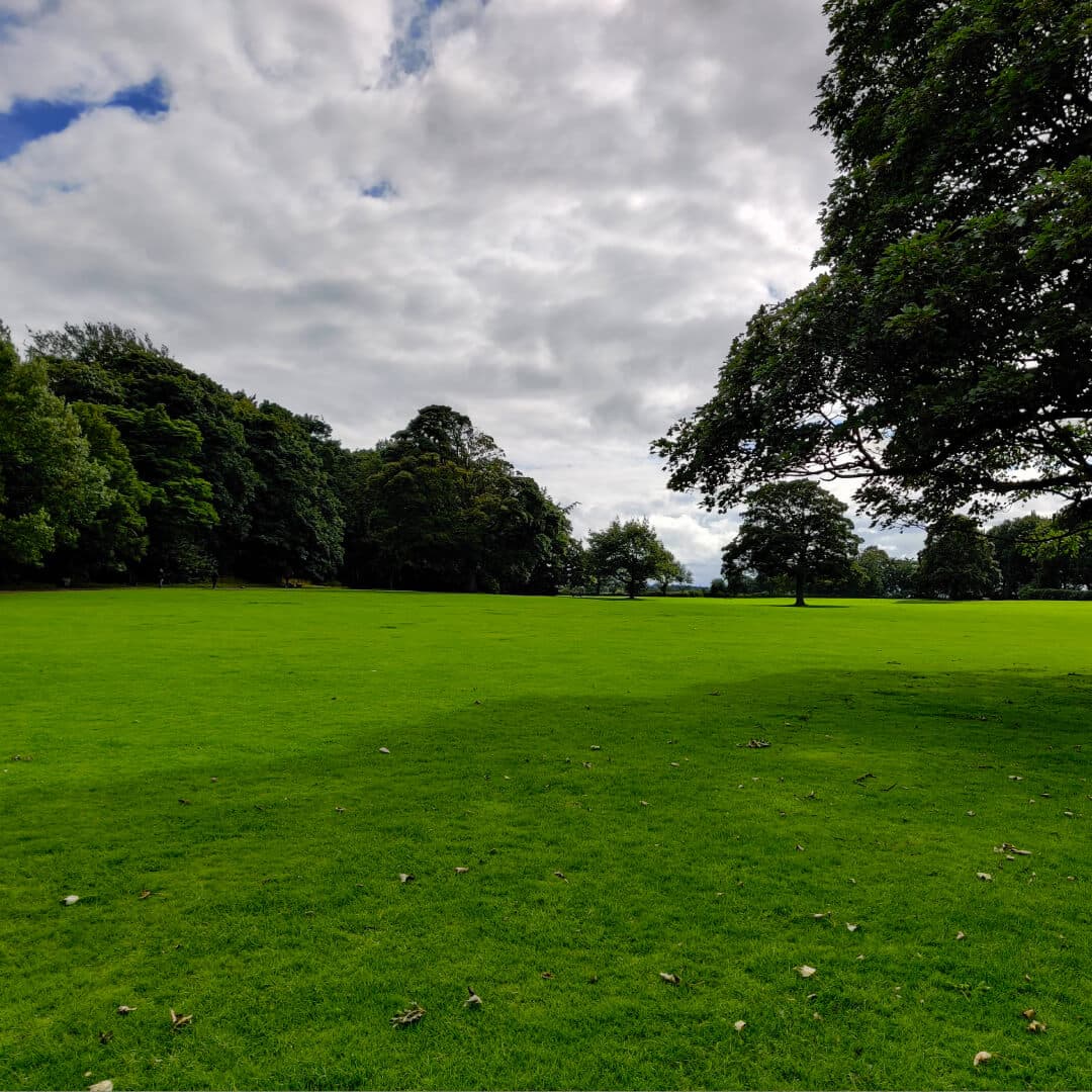 Farnley Hall Park field