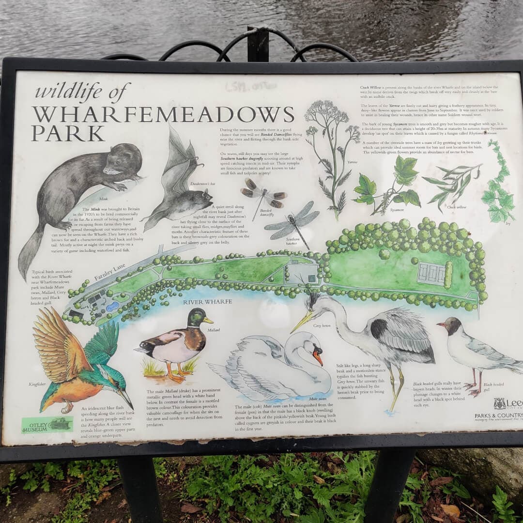 Wharfemeadows Park