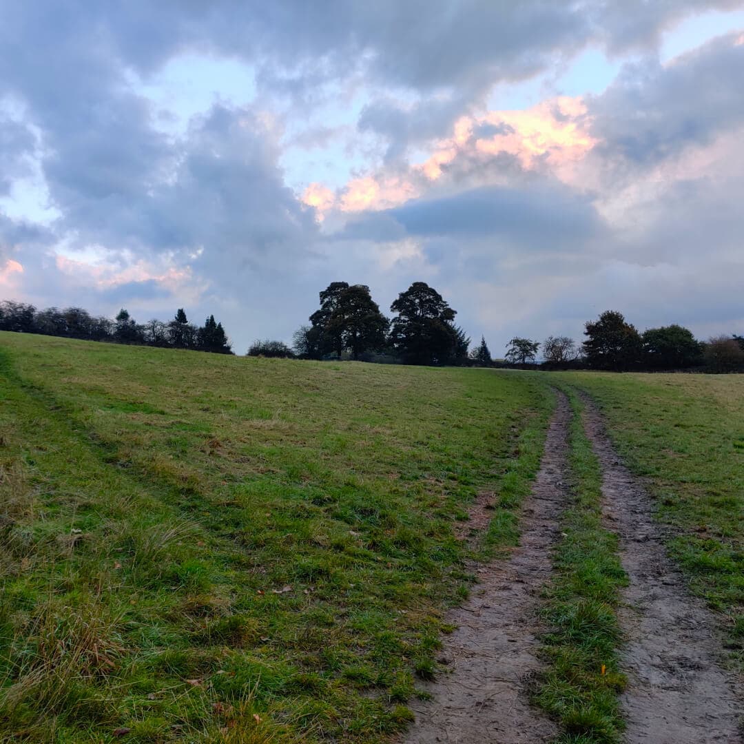 Hunger Hills Woods Leeds