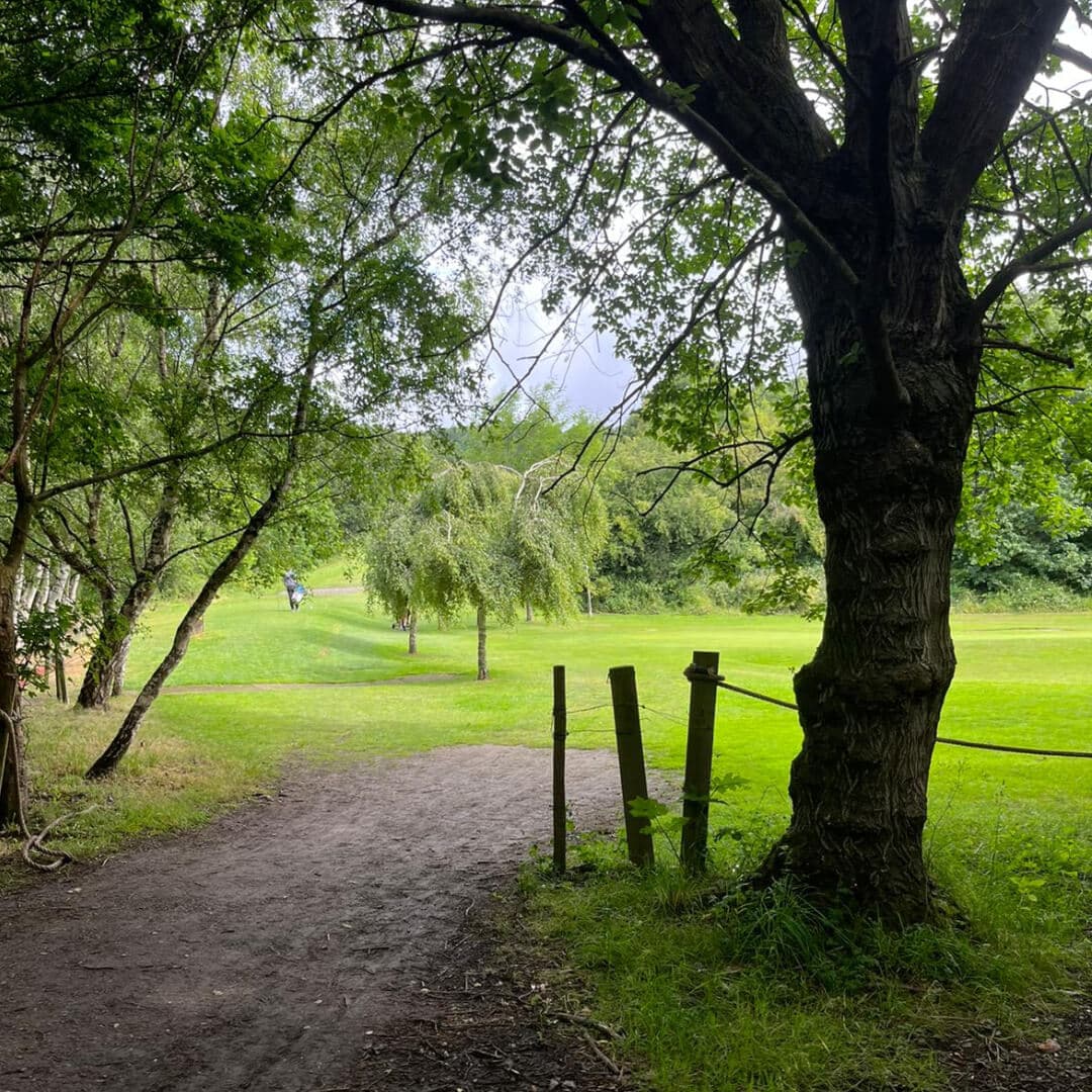 Black Carr Wood