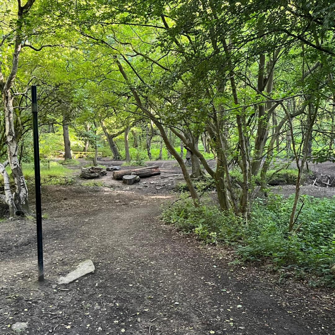 Black Carr Wood bike tracks