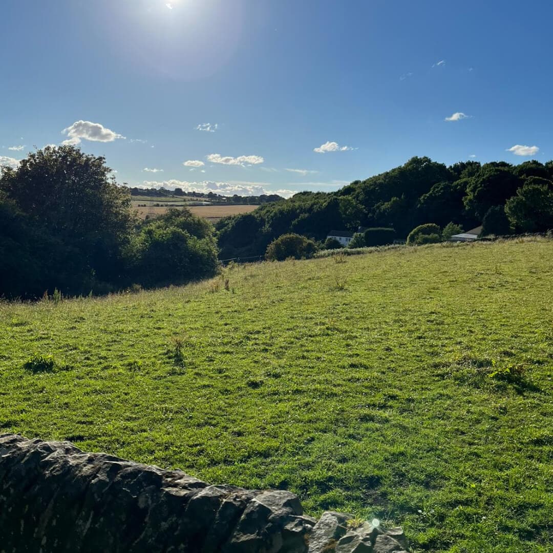 Black Carr Wood view over field