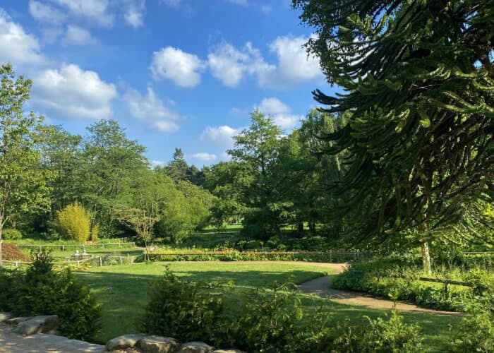 Golden Acre Park Picnic