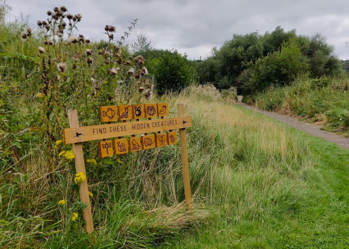 Rodley Nature Reserve Picnic