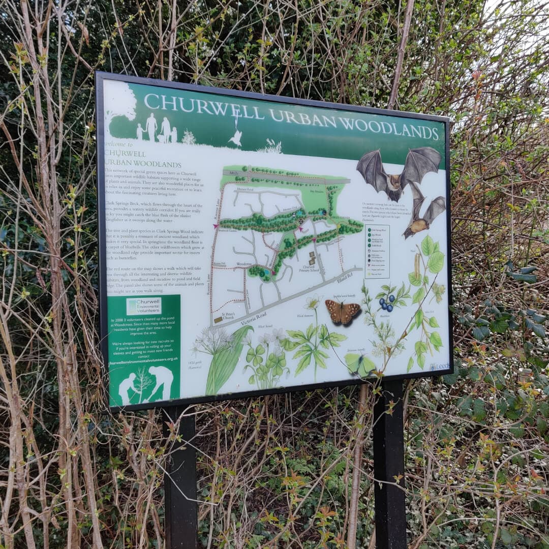 Daffil Wood