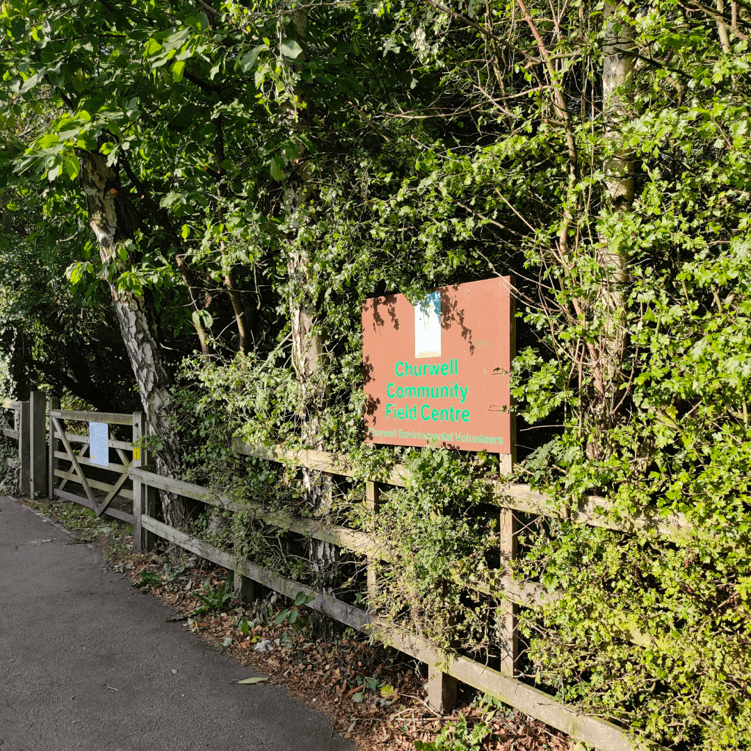 Churwell Woods