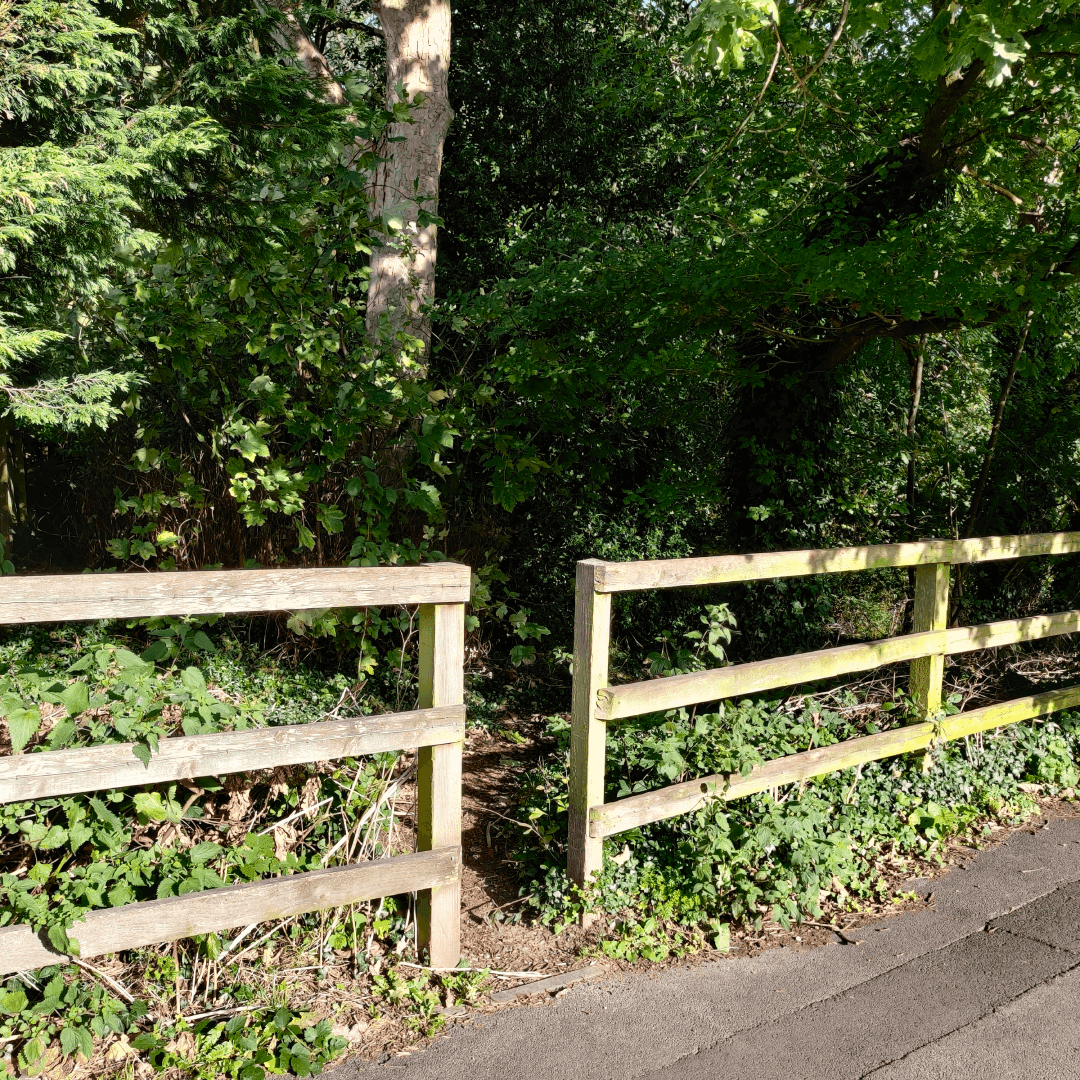 Churwell Woods