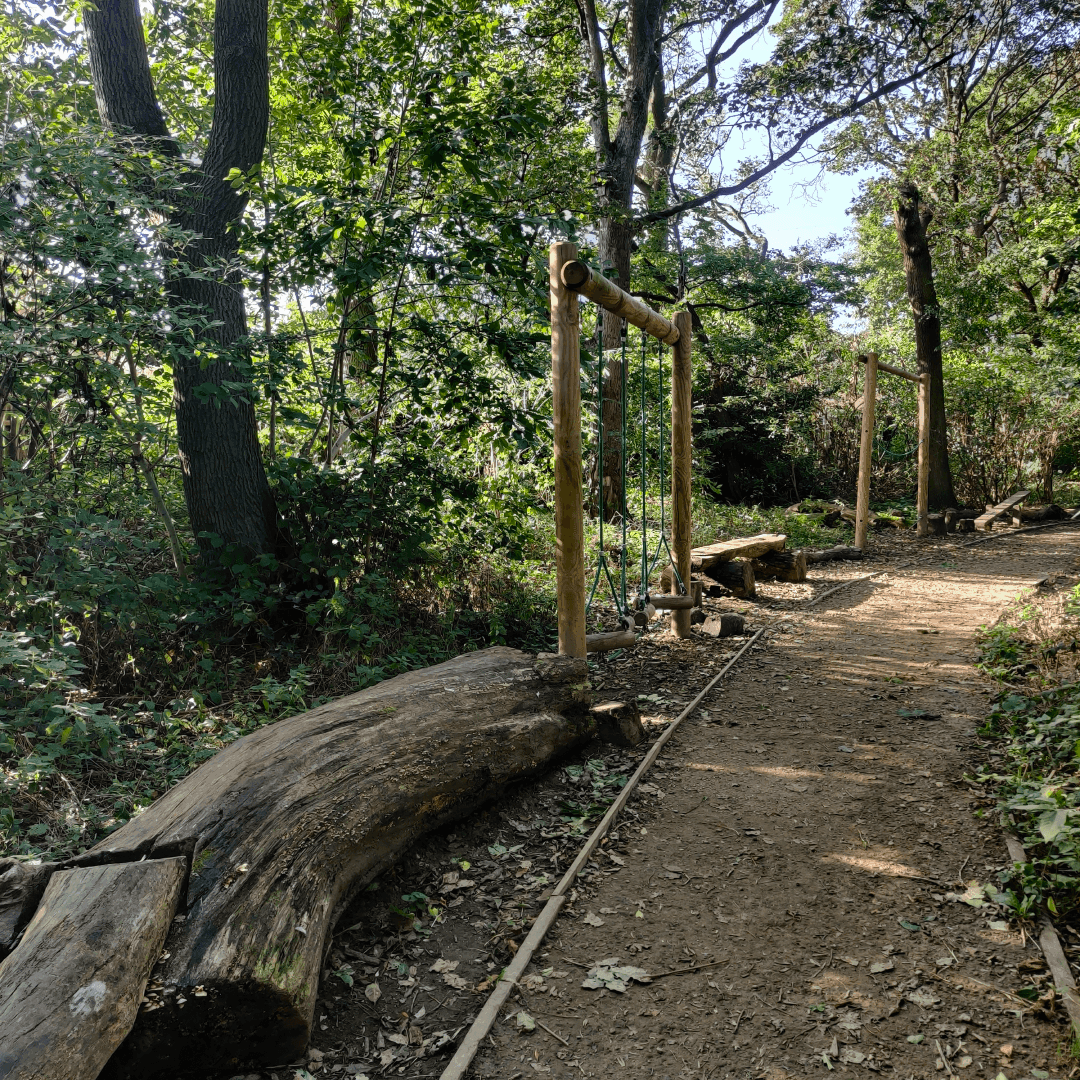 Churwell Woods