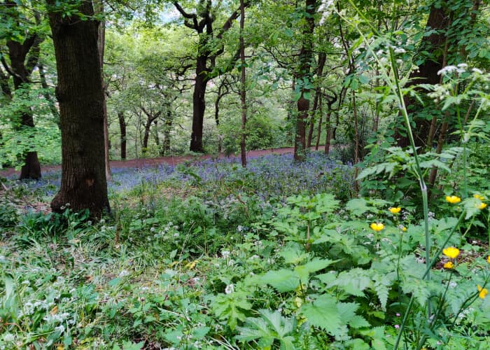 Woodhouse Ridge Leeds