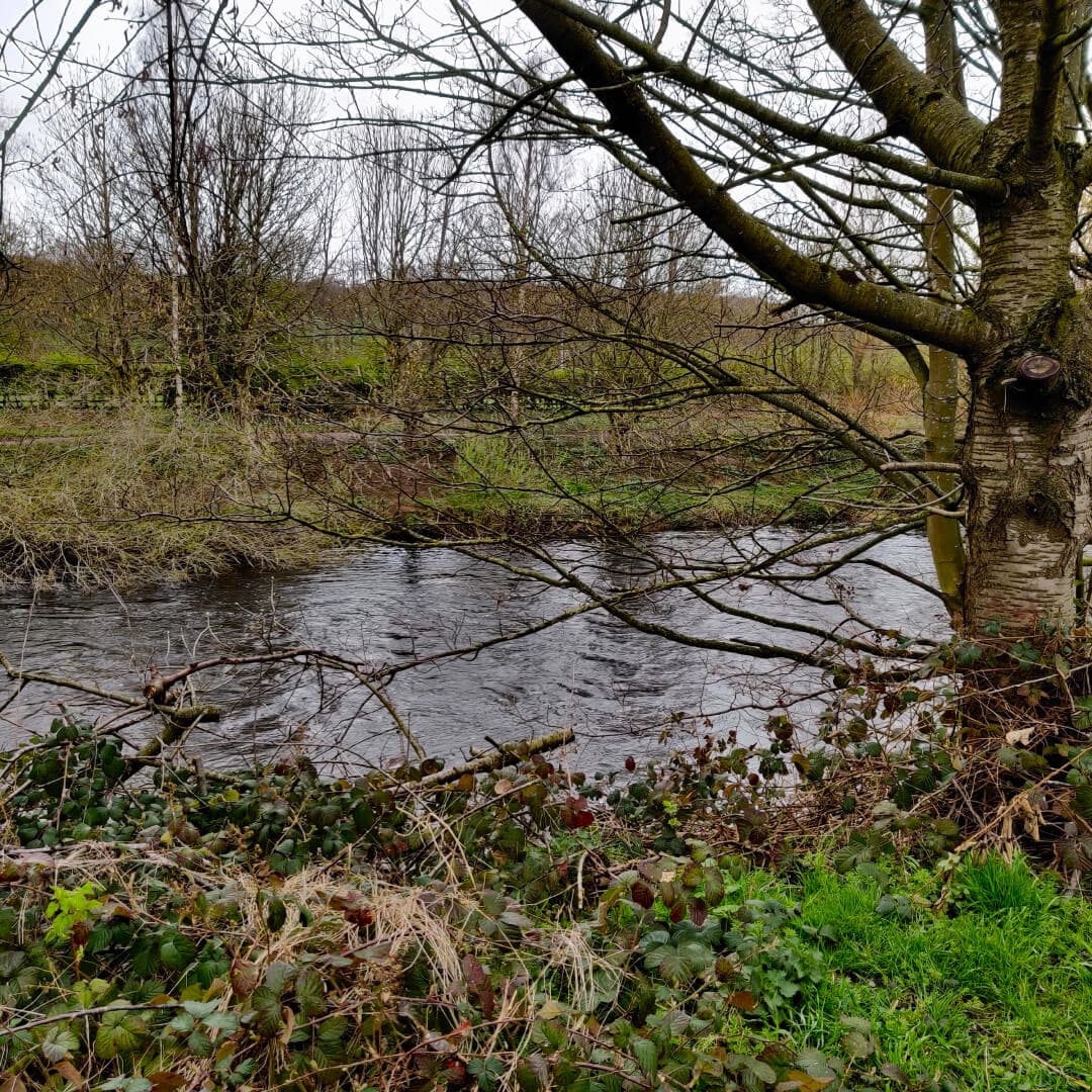 Gallows Hill Nature Reserve