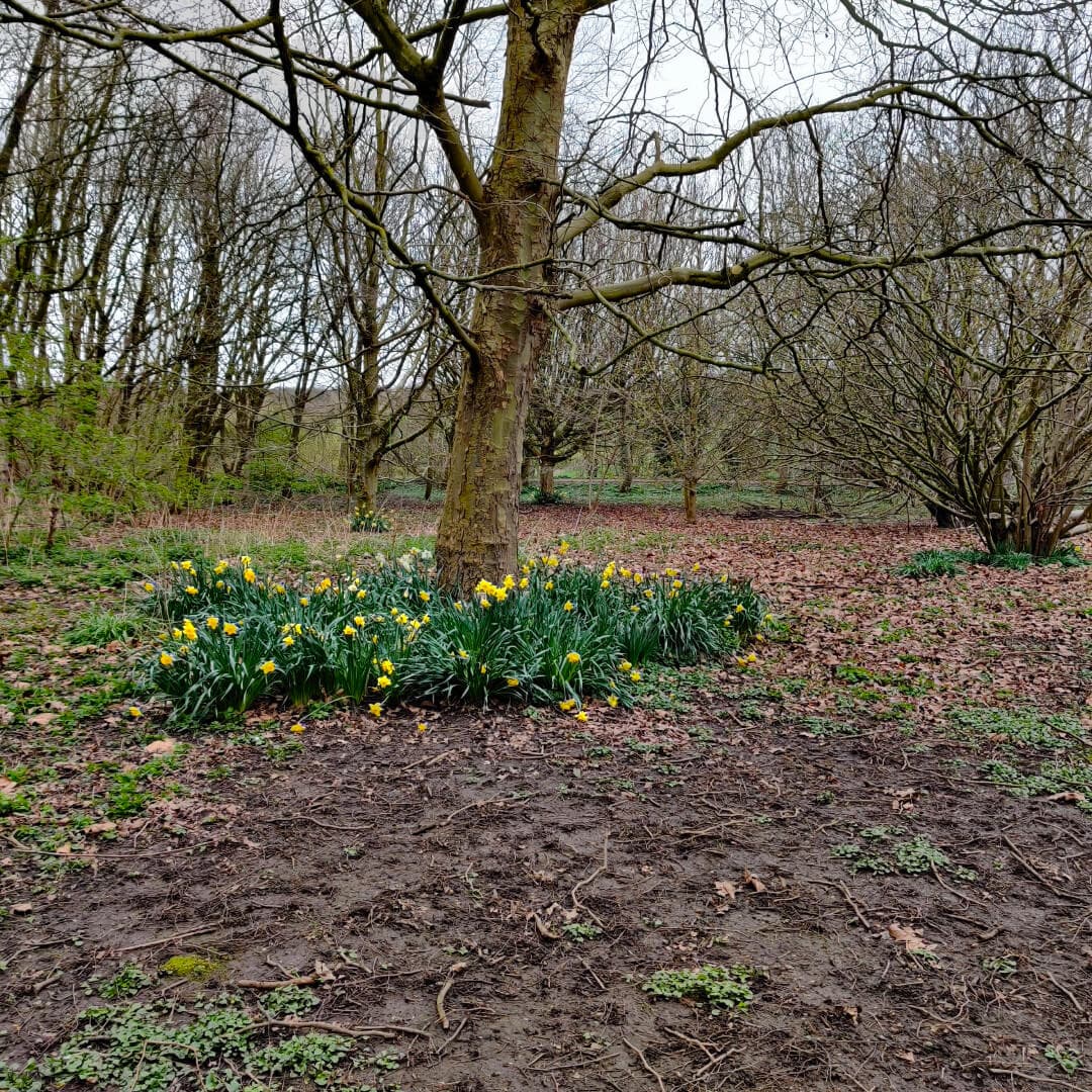 Gallows Hill Nature Reserve