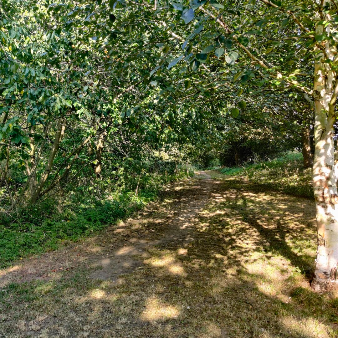 Rothwell Pastures