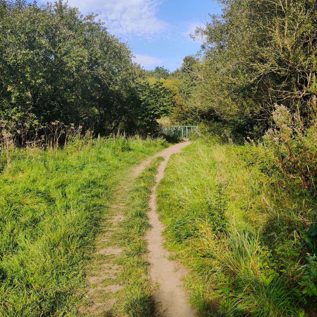Rothwell Pastures