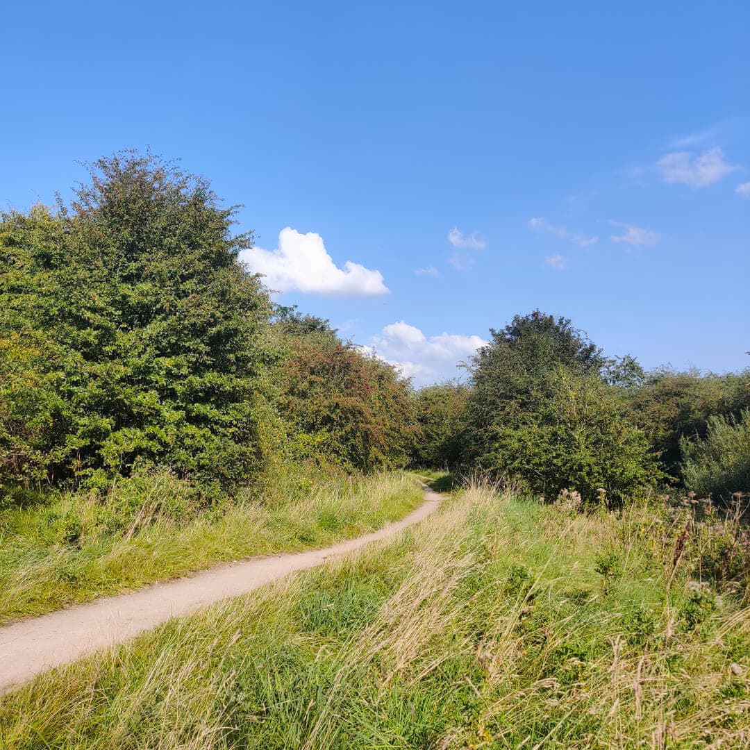 Rothwell Pastures