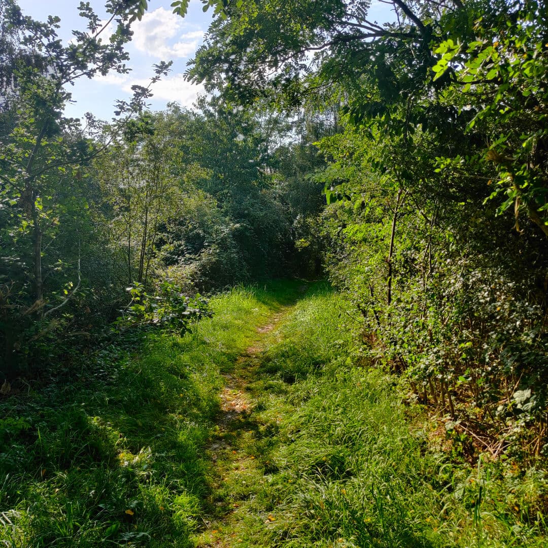 Rothwell Pastures