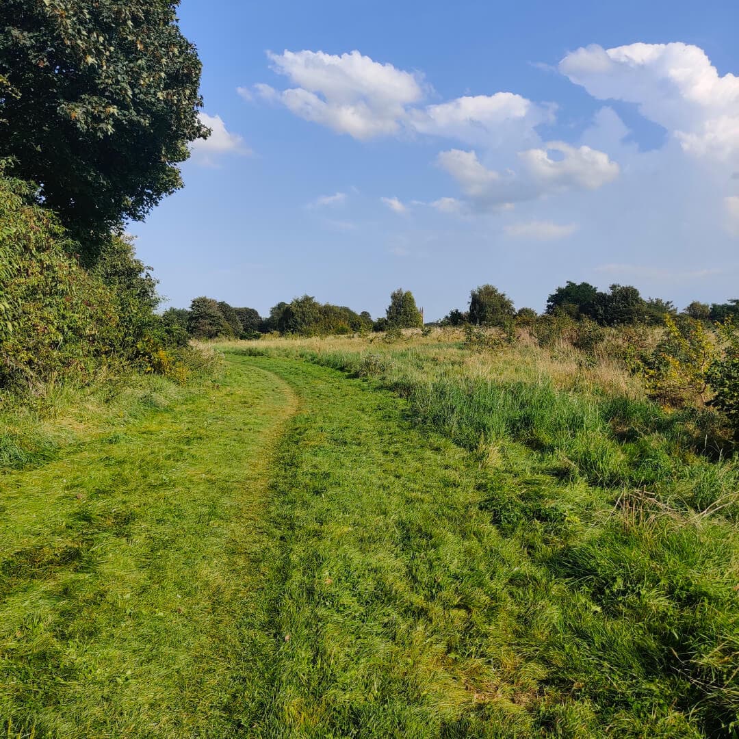 Rothwell Pastures