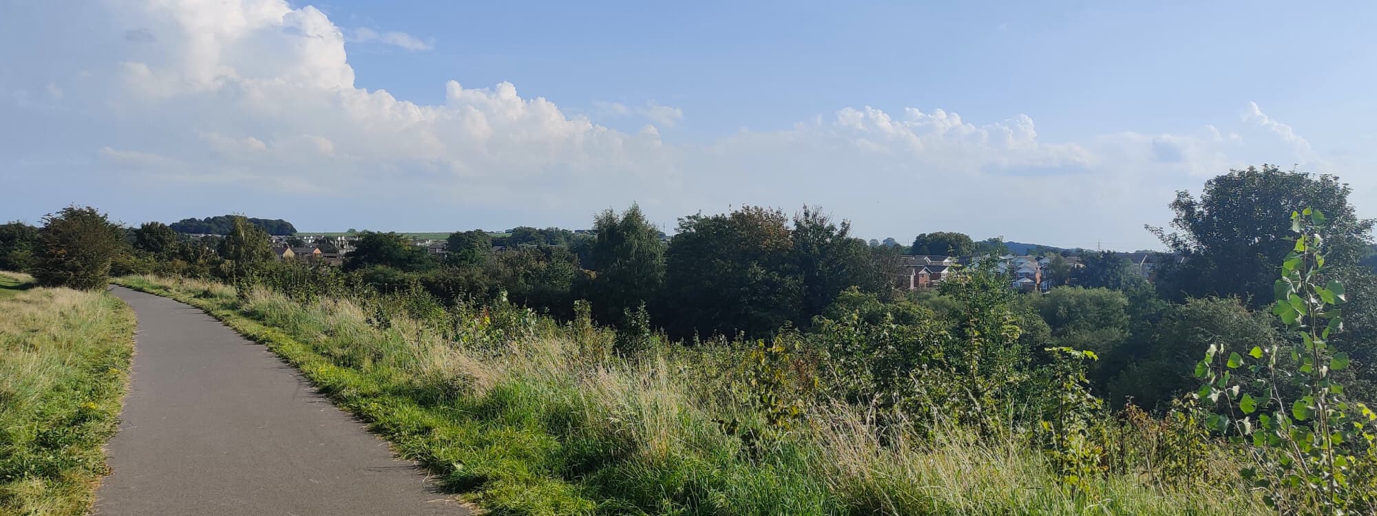 Rothwell Pastures