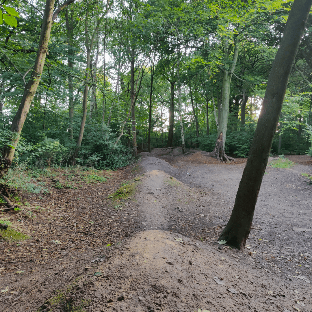Ridge Plantation Meanwood