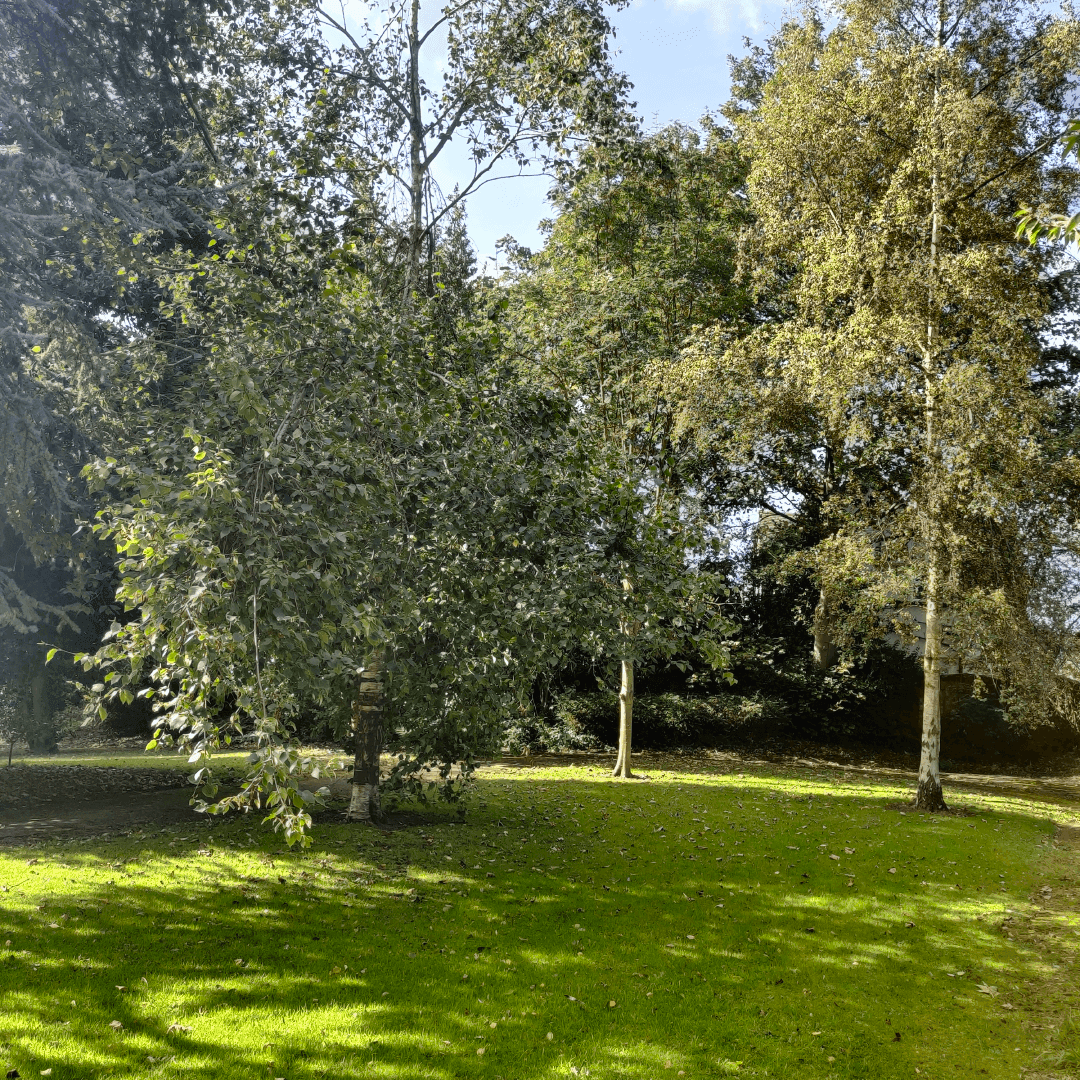 Scarth Gardens