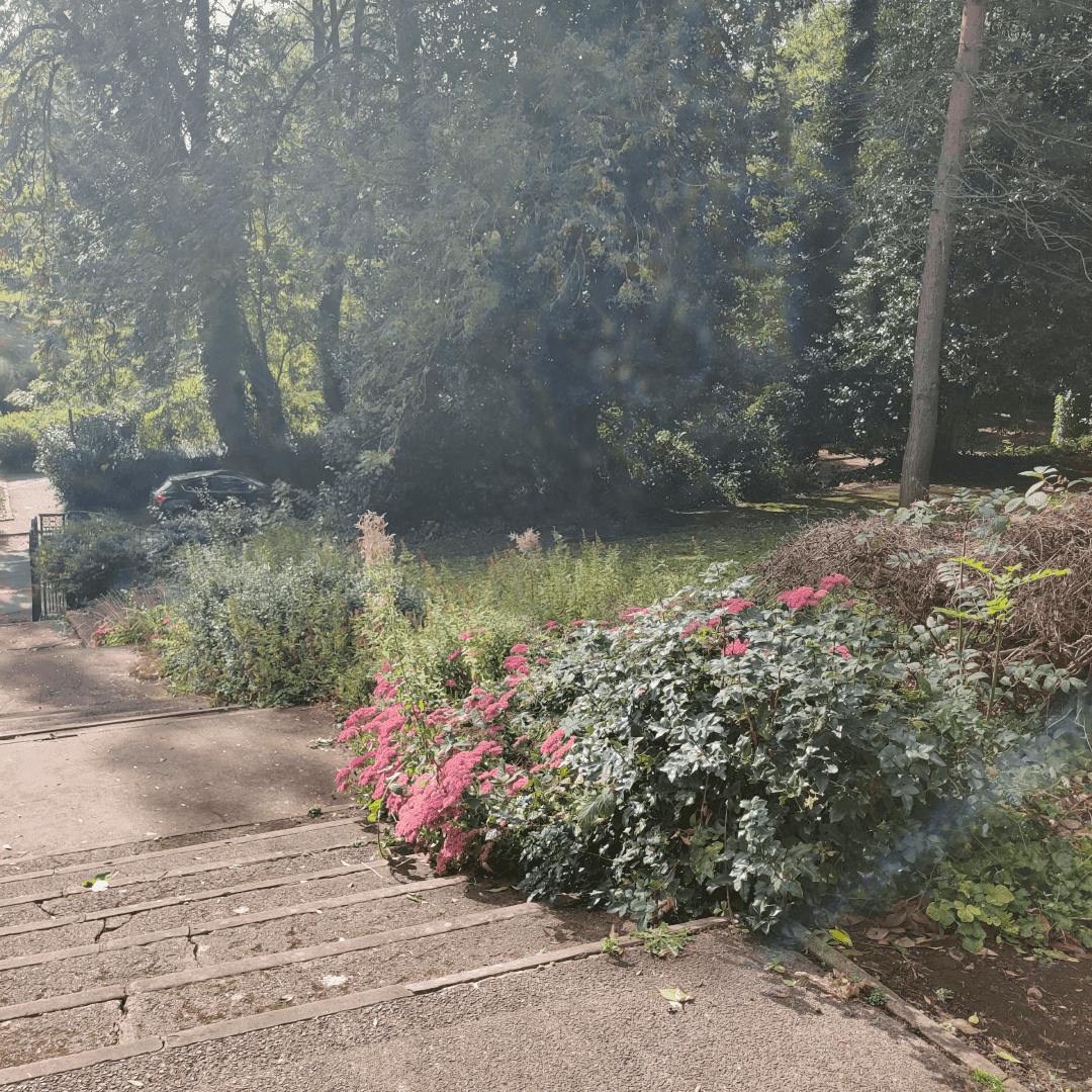 Scarth Gardens