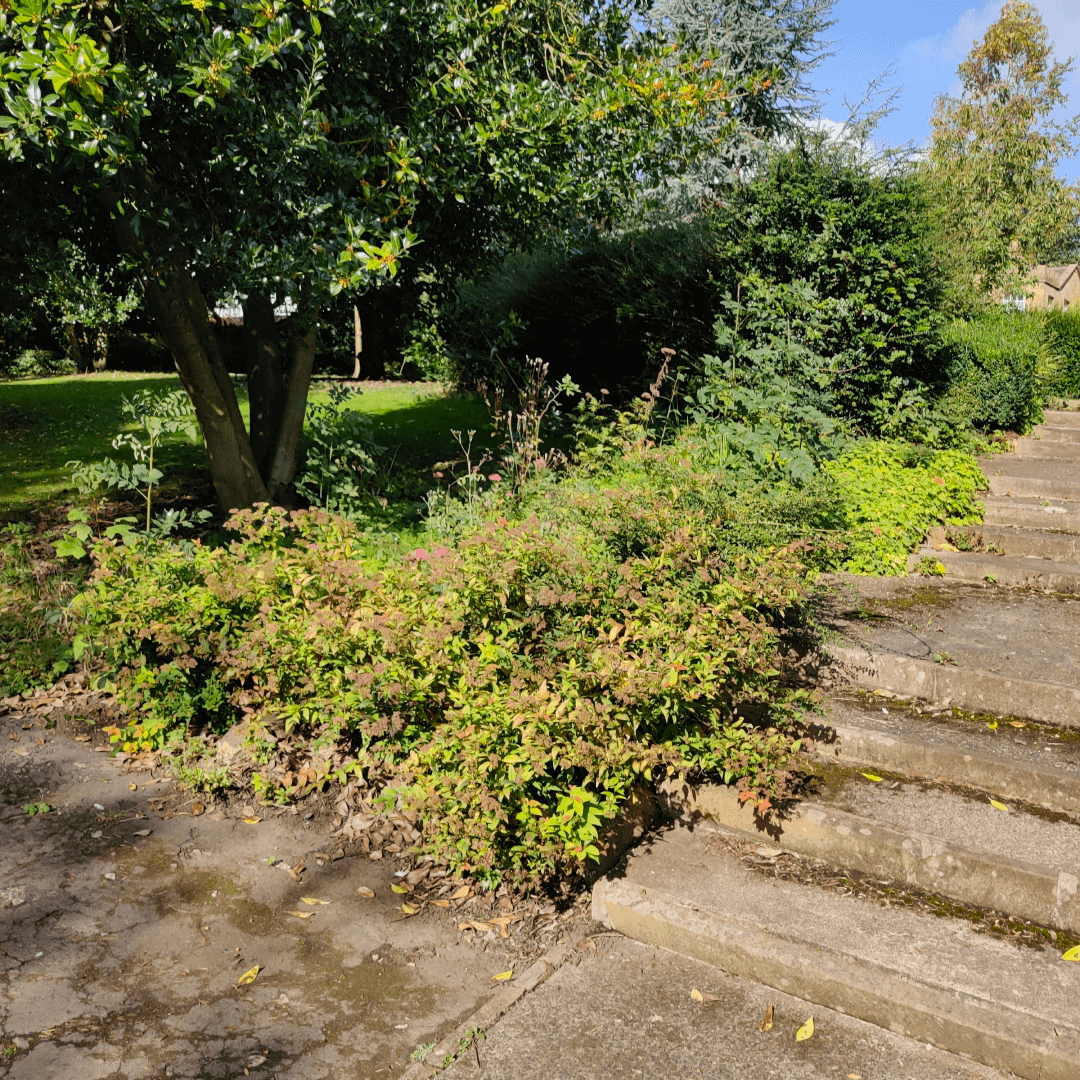 Scarth Gardens