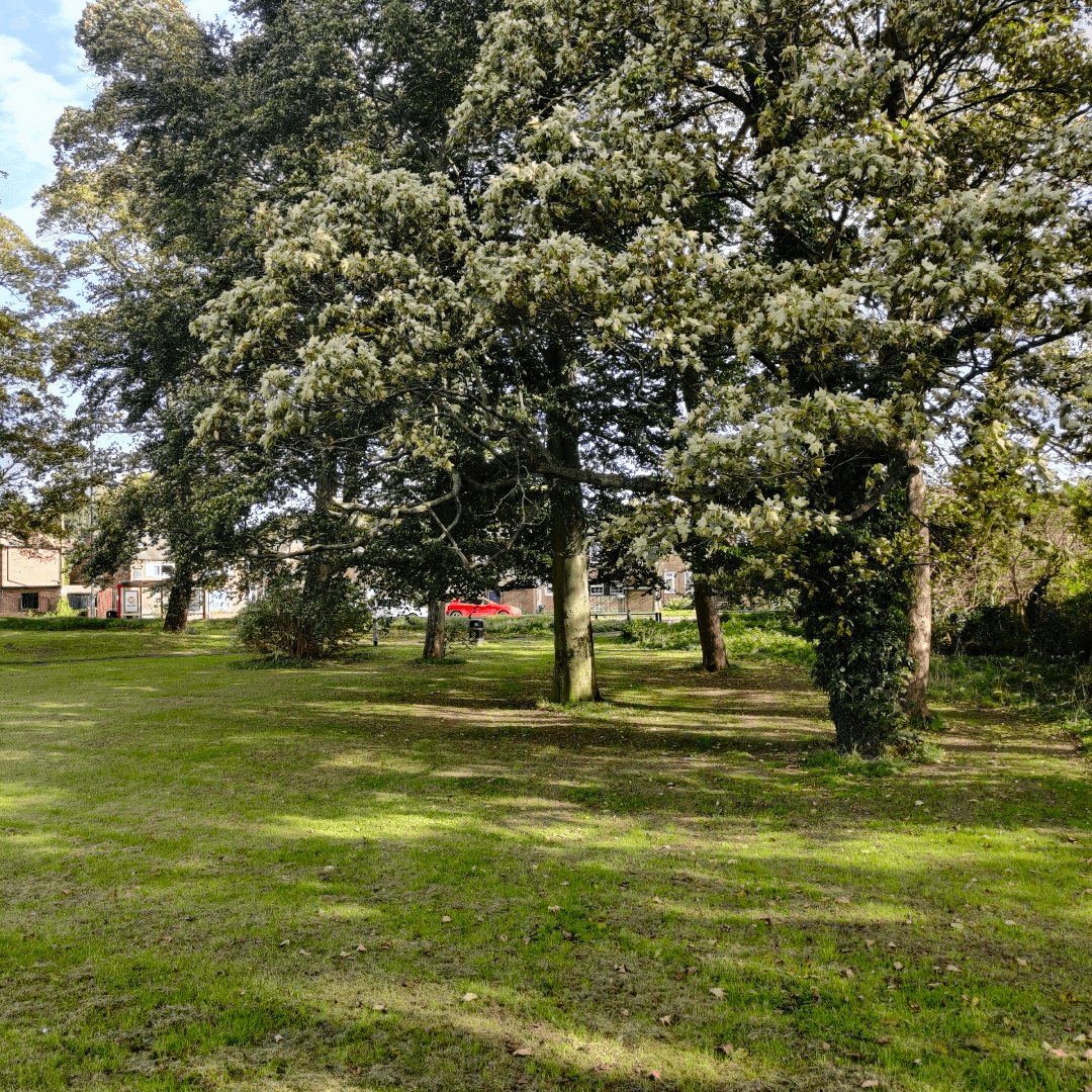 Parklands Fields