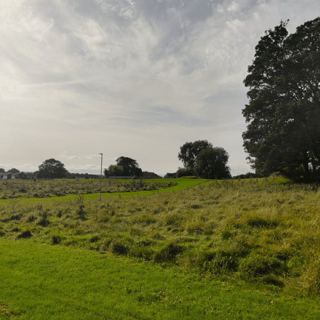 Parklands Fields