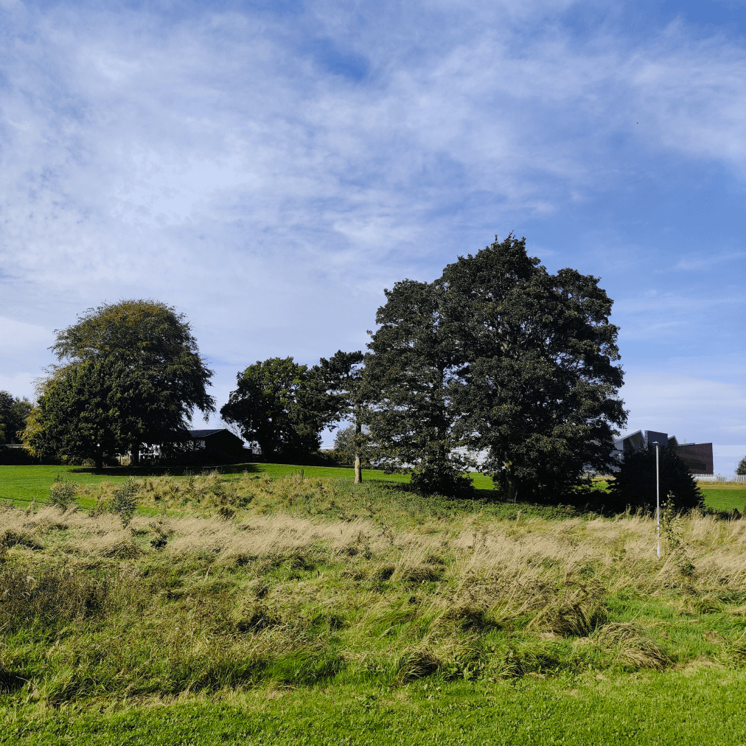 Parklands Fields