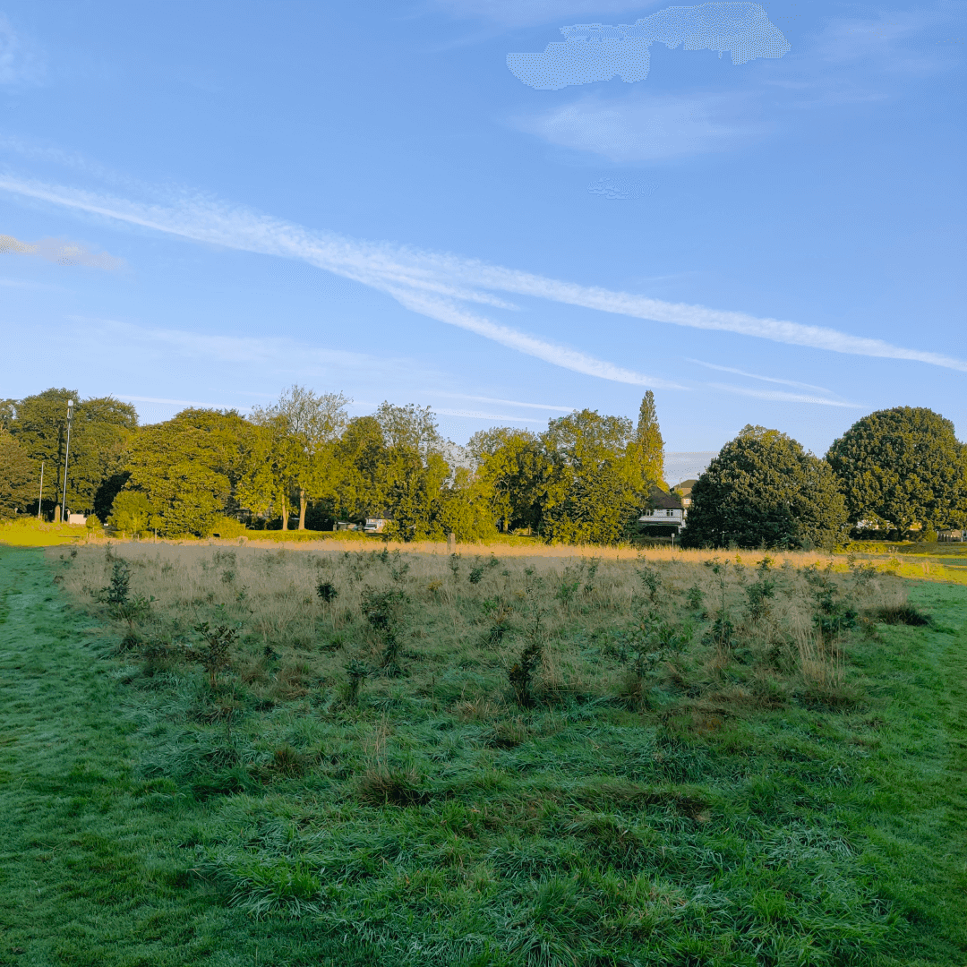 Guru Nanak Woodlands