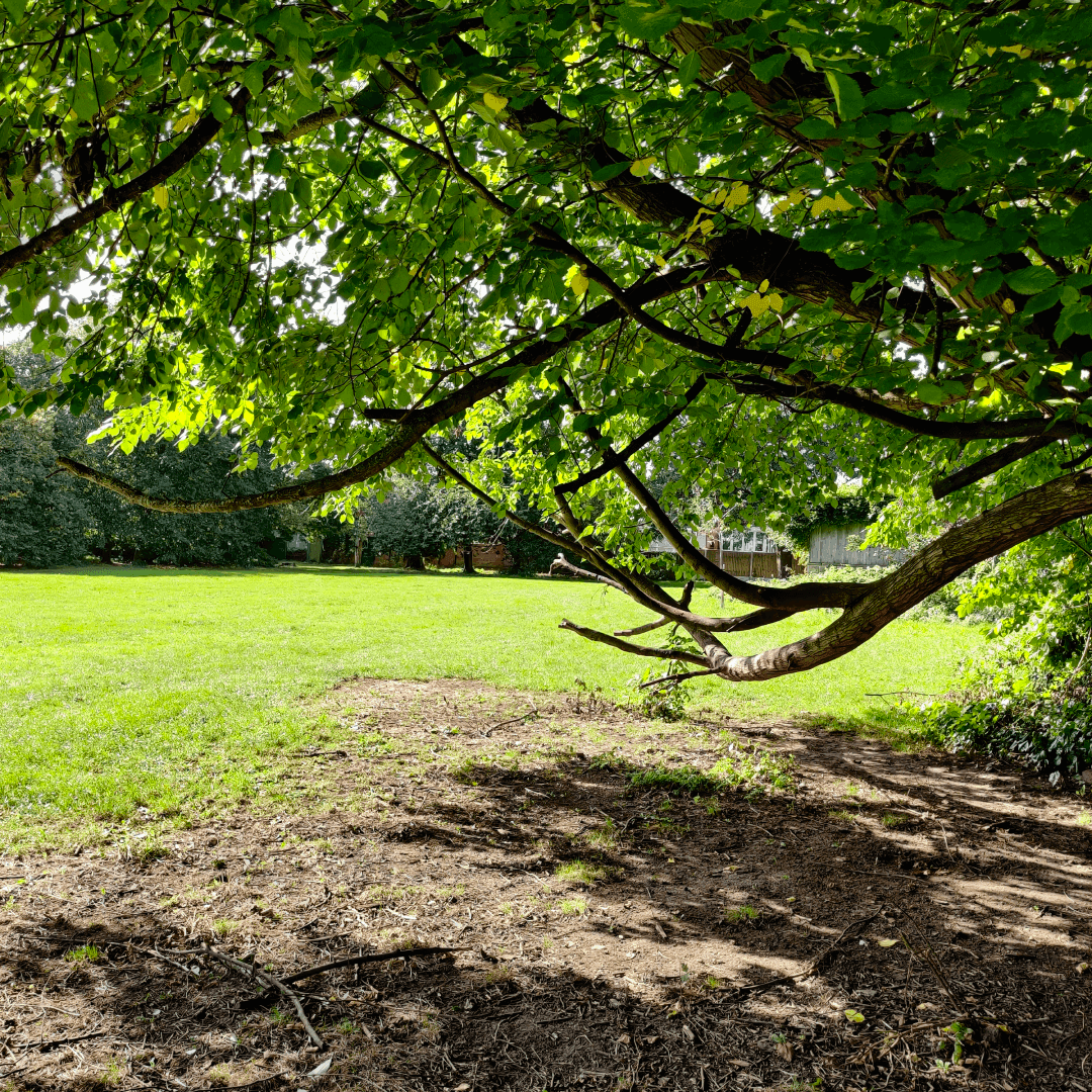 Scratcherd Park